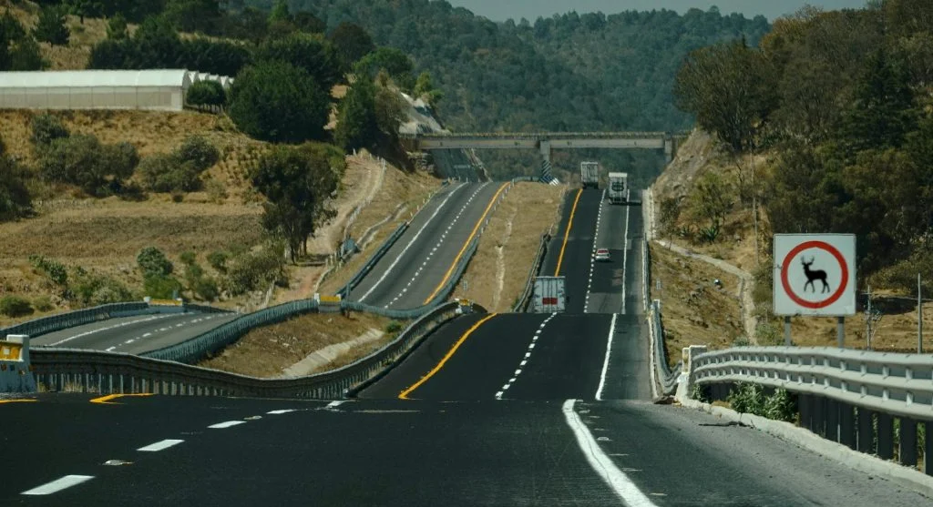wildlife crossing over highway traffic