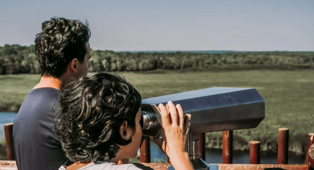 How to Safely Watch Wildlife During National Park Visits