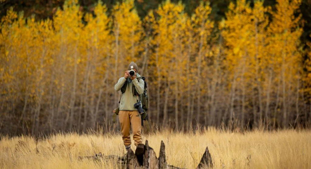 Outdoor photographer capturing wildlife images in autumn