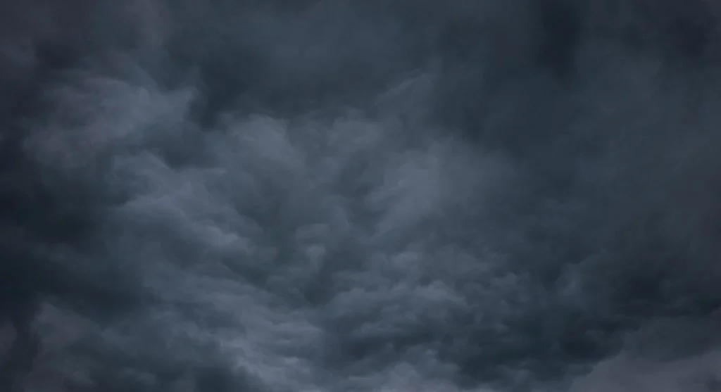 forest atmosphere changing before rainstorm