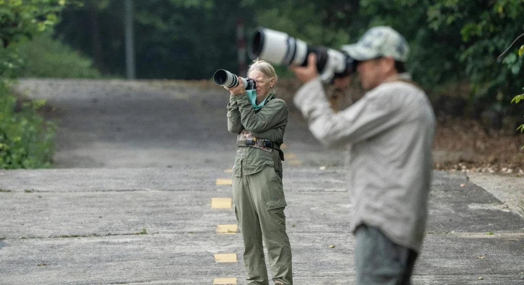 People observing wildlife from a distance on a protected trail