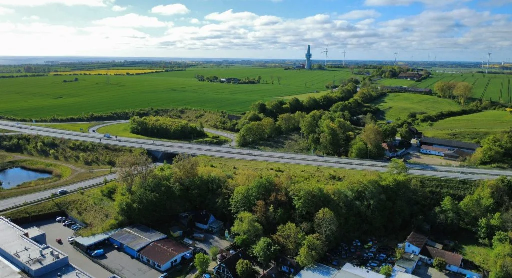 vegetation helps wildlife cross roads