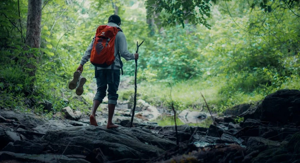 What Wildlife Experts Recommend During Spring Hiking Season