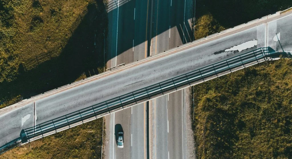 deer using wildlife corridor over highway