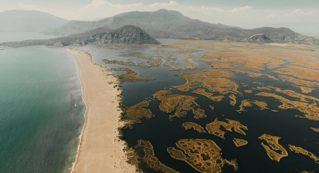 Protected area with diverse wildlife and vegetation